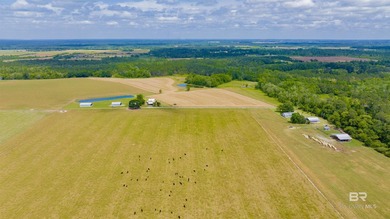 160 acres. Unzoned. Positioned in the path of Baldwin County - photo 44