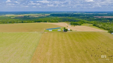160 acres. Unzoned. Positioned in the path of Baldwin County - photo 45