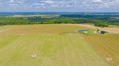 160 acres. Unzoned. Positioned in the path of Baldwin County - photo 46