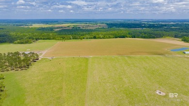160 acres. Unzoned. Positioned in the path of Baldwin County - photo 47