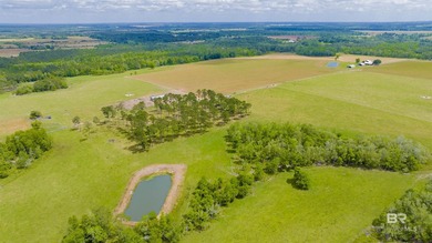 160 acres. Unzoned. Positioned in the path of Baldwin County - photo 48