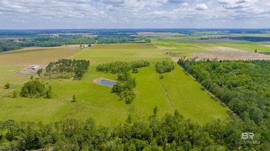 160 acres. Unzoned. Positioned in the path of Baldwin County - photo 50