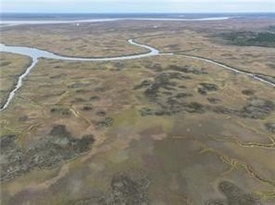 Don't miss this opportunity to own untouched marsh property on - photo 2