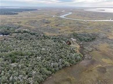 Don't miss this opportunity to own untouched marsh property on - photo 3