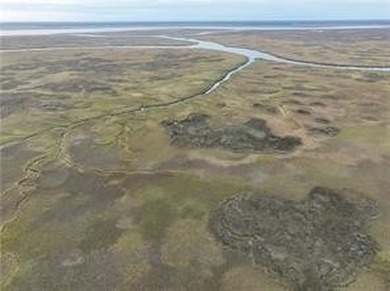 Don't miss this opportunity to own untouched marsh property on - photo 4