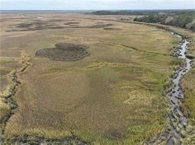 Don't miss this opportunity to own untouched marsh property on - photo 5
