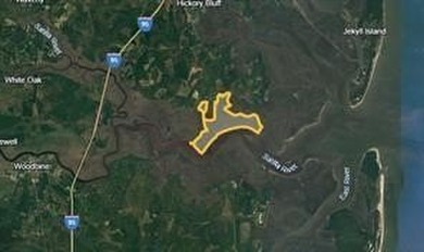 Don't miss this opportunity to own untouched marsh property on - photo 6