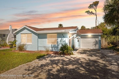 (private lake, pond, coastal) Home Sale Pending in Port Richey Florida
