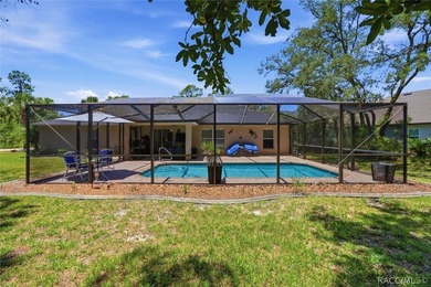Pool Home on a Cul-De-Sac with new roof and A/C Welcome to this - photo 38