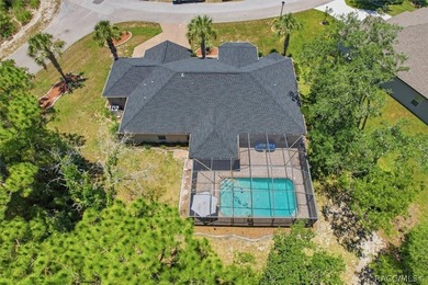 Pool Home on a Cul-De-Sac with new roof and A/C Welcome to this - photo 42