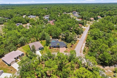 Pool Home on a Cul-De-Sac with new roof and A/C Welcome to this - photo 44
