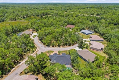 Pool Home on a Cul-De-Sac with new roof and A/C Welcome to this - photo 45