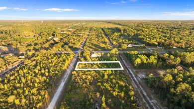Lake Weohyakapka Lot For Sale in Indian Lake Estates Florida