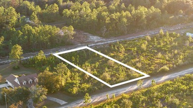 0.50-acre vacant lot in Indian Lake Estates with land use - photo 3
