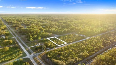 0.50-acre vacant lot in Indian Lake Estates with land use - photo 4