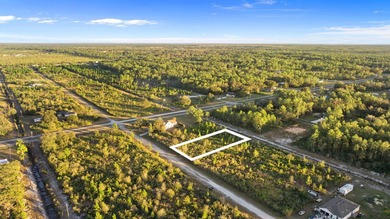 0.50-acre vacant lot in Indian Lake Estates with land use - photo 5