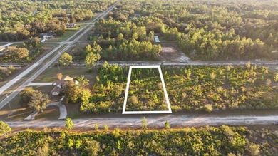 0.50-acre vacant lot in Indian Lake Estates with land use - photo 6