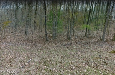 Lake Lot For Sale in Crossville, Tennessee
