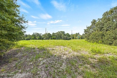 PRIME COMMERCIAL LOCATION! 2.1 acre Perfect Site is for medical - photo 3