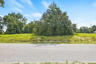 PRIME COMMERCIAL LOCATION! 2.1 acre Perfect Site is for medical - photo 4