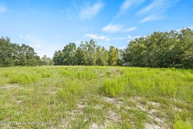PRIME COMMERCIAL LOCATION! 2.1 acre Perfect Site is for medical - photo 6
