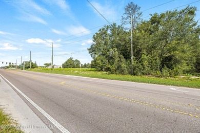 PRIME COMMERCIAL LOCATION! 2.1 acre Perfect Site is for medical - photo 7