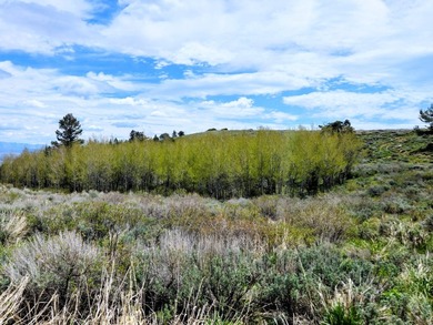Exceptional 40.05-acre mountain property overlooking the - photo 3