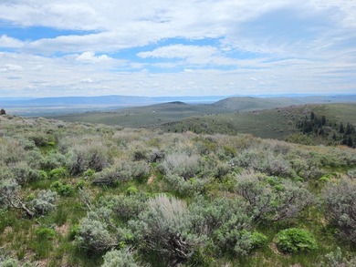 Exceptional 40.05-acre mountain property overlooking the - photo 4