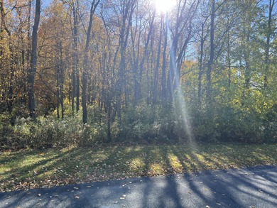 (private lake, pond, creek) Lot For Sale in Richland Michigan