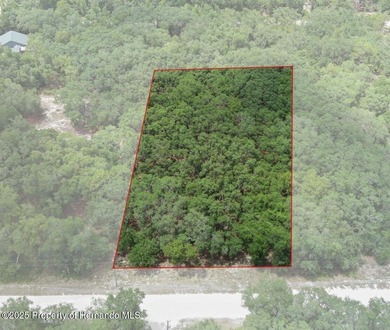 Withlacoochee River Lot Sale Pending in Webster Florida