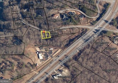 Lake Commercial For Sale in Gainesville, Georgia