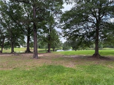 This Beautiful lot is one of a few available with a Water View - photo 1
