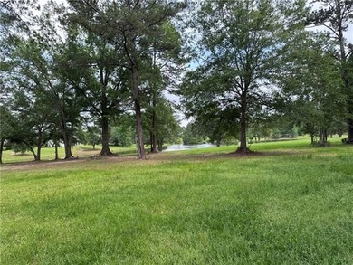 This Beautiful lot is one of a few available with a Water View - photo 3