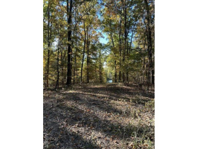 (private lake, pond, creek) Acreage For Sale in Jackson Missouri