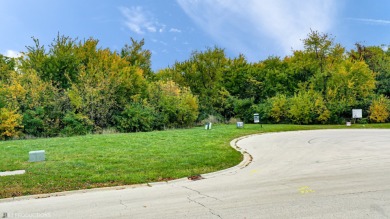 Lake Lot For Sale in Elwood, Illinois