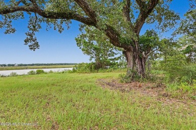 Discover a rare opportunity to own 12.65 acres of waterfront - photo 6