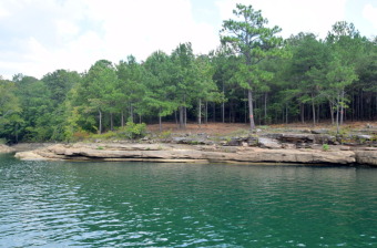Over 2 Acres of Land with 408 Feet of Waterfront on Smith Lake - Lake Lot For Sale in Arley, Alabama