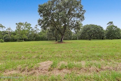 Discover a rare opportunity to own 12.65 acres of waterfront - photo 9