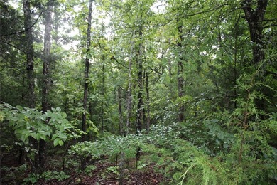 20.55 acres heavily wooded only minutes to town. This property - photo 11