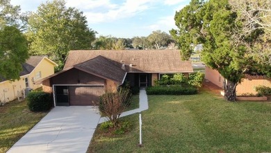 Lake Tarpon Home For Sale in Palm Harbor Florida