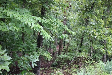 20.55 acres heavily wooded only minutes to town. This property - photo 12