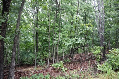 20.55 acres heavily wooded only minutes to town. This property - photo 14