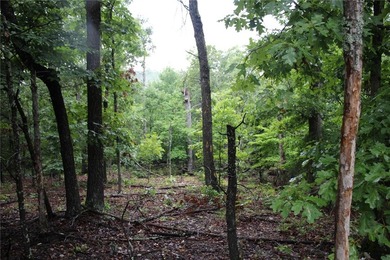 20.55 acres heavily wooded only minutes to town. This property - photo 19