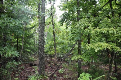 20.55 acres heavily wooded only minutes to town. This property - photo 20