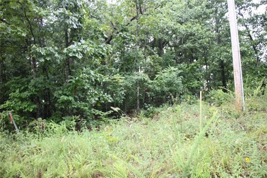 20.55 acres heavily wooded only minutes to town. This property - photo 22