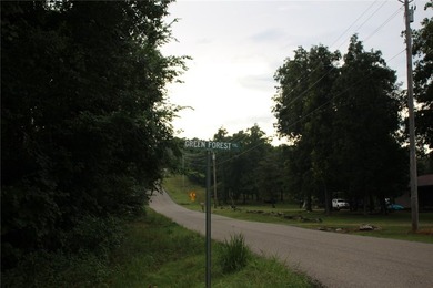 20.55 acres heavily wooded only minutes to town. This property - photo 24