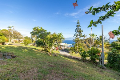 This classic Hawaiian plantation home overlooking Laupahoehoe - photo 27