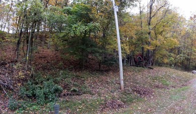 Nolin Lake Lot For Sale in Cub Run Kentucky