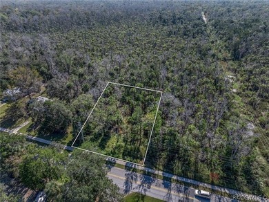 Almost half an acre in the middle of old Homosassa and close to - photo 2
