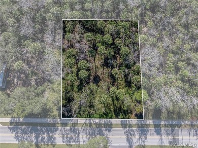 Almost half an acre in the middle of old Homosassa and close to - photo 5